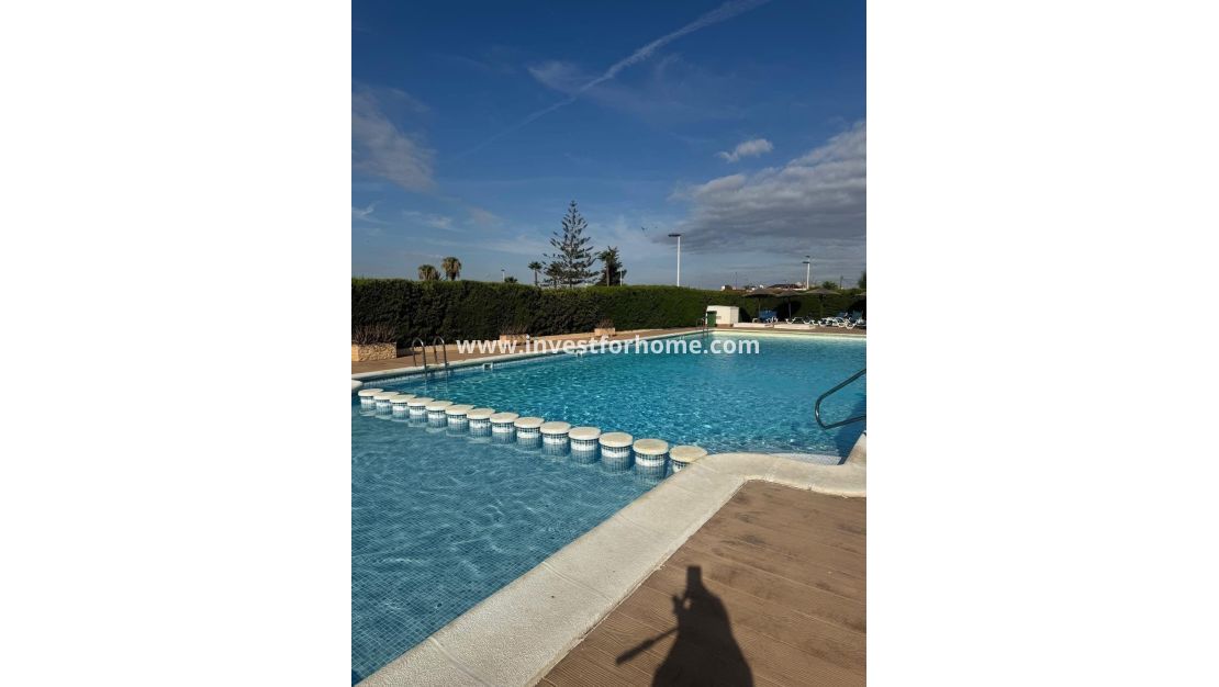 Vente - Maison - Torrevieja - Torrelamata - La Mata