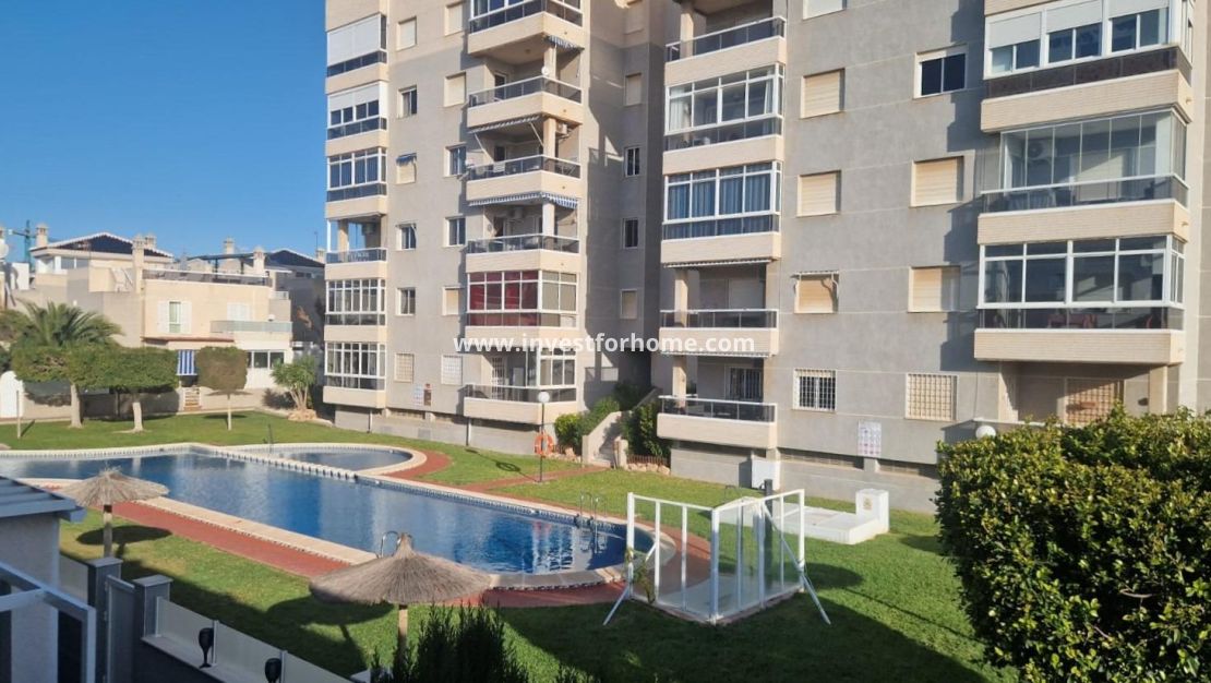 Vente - Maison - Torrevieja - Torrelamata - La Mata