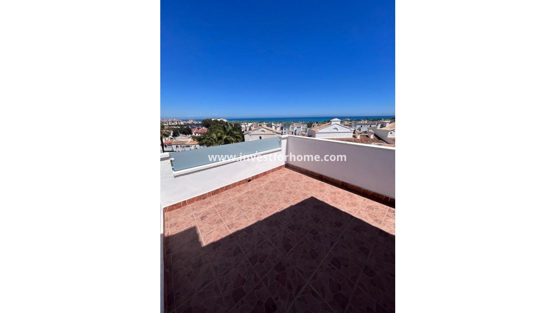 Vente - Maison - Torrevieja - Torrelamata - La Mata