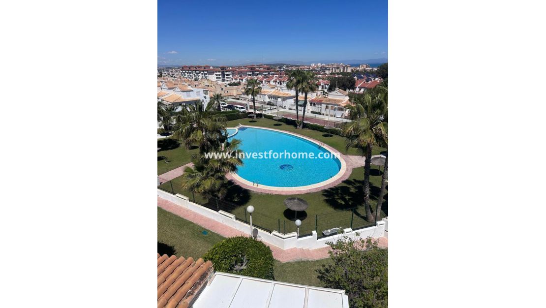 Vente - Maison - Torrevieja - Torrelamata - La Mata