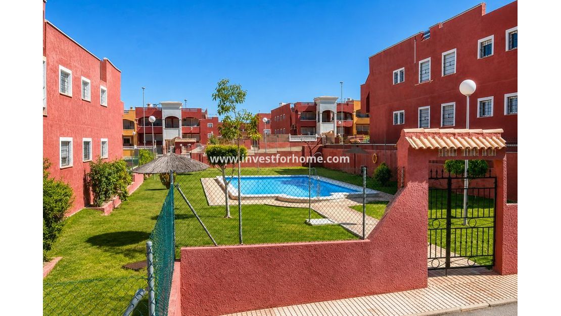 Vente - Maison - Torrevieja