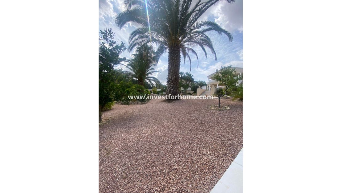 Vente - Villa - Algorfa - Inland