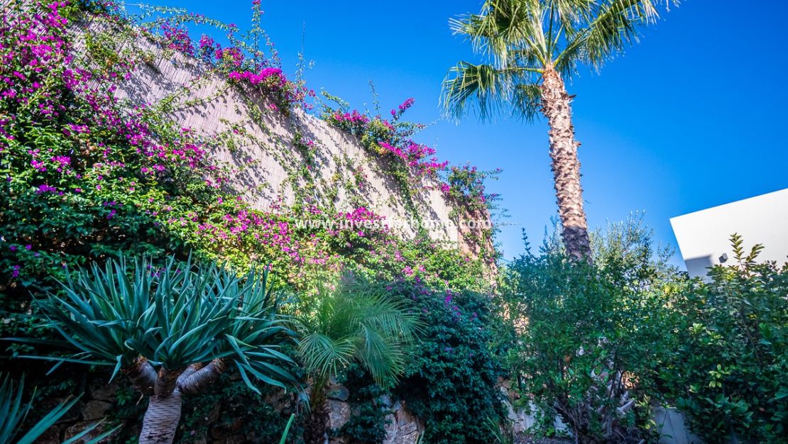 Vente - Villa - Algorfa - Inland