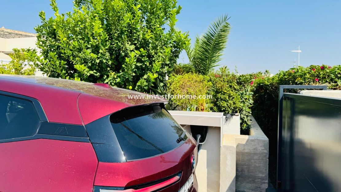 Vente - Villa - Algorfa - Inland