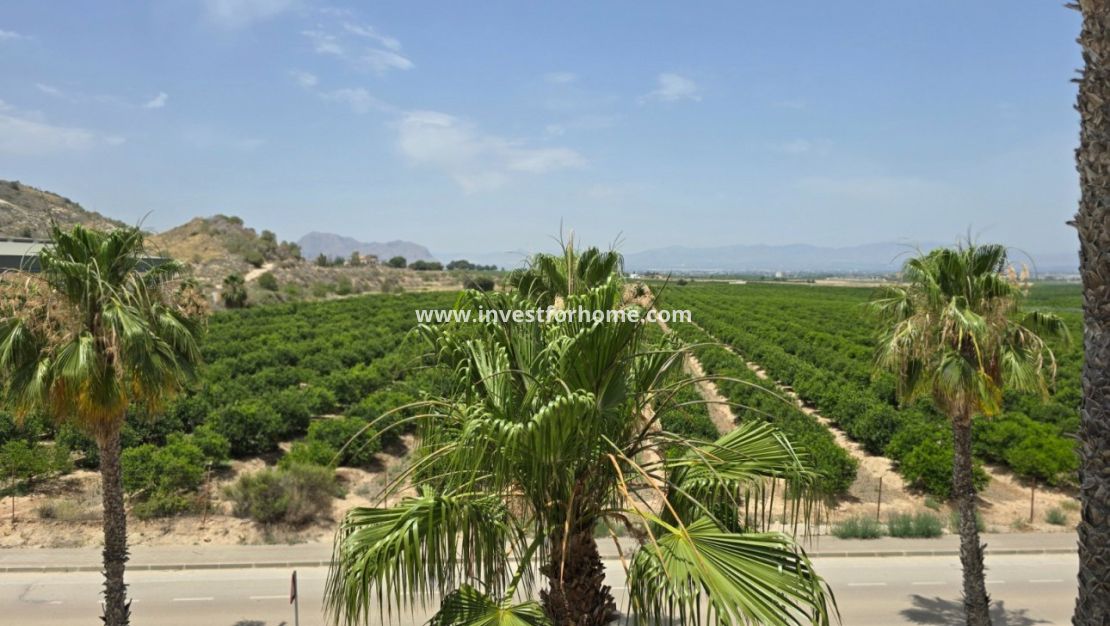 Vente - Villa - Algorfa - Inland