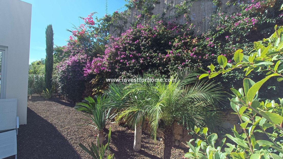 Vente - Villa - Algorfa - Inland