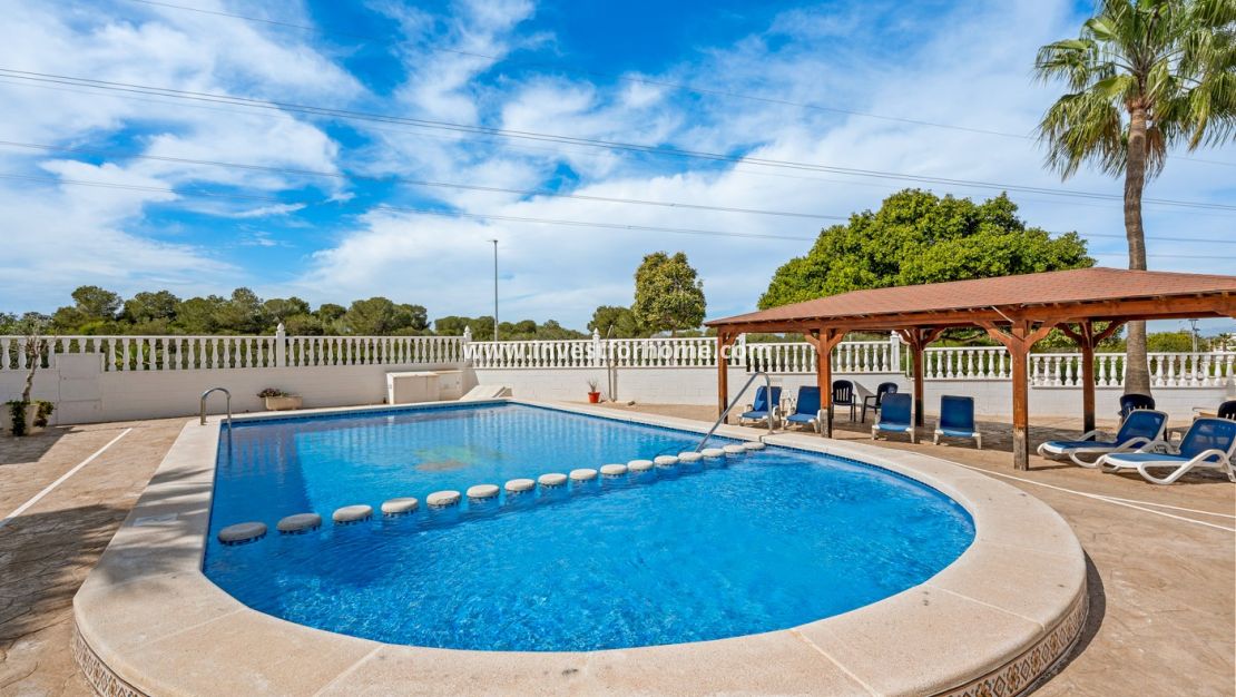 Vente - Villa - Algorfa - Lo Crispin