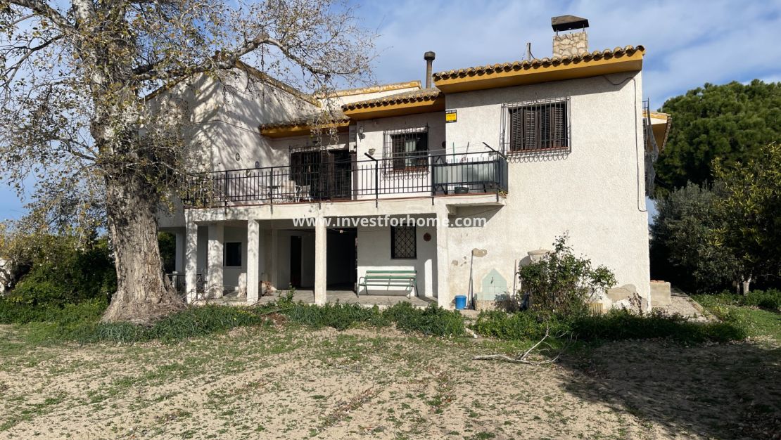 Vente - Villa - Benejuzar - Inland