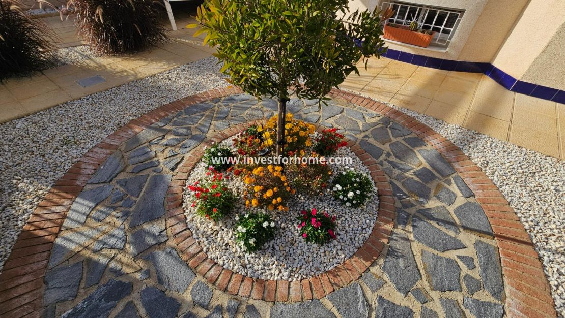 Vente - Villa - Benijofar - Benimar 3