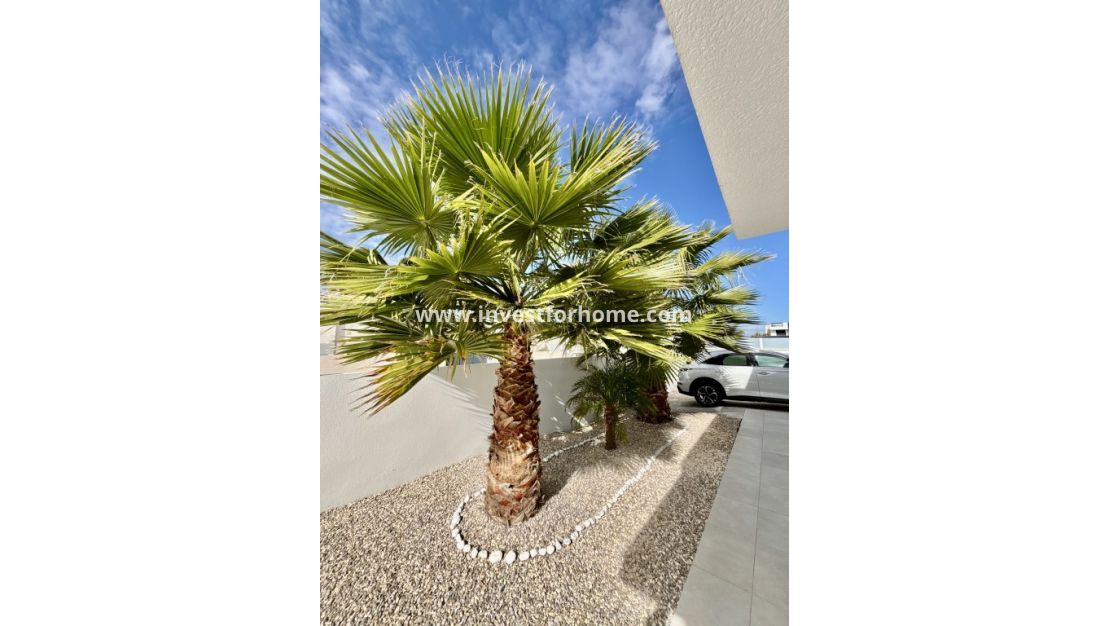 Vente - Villa - Benijofar - Costa Blanca