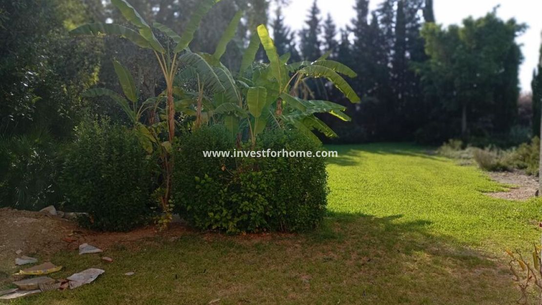 Vente - Villa - Daya Nueva - Costa Blanca