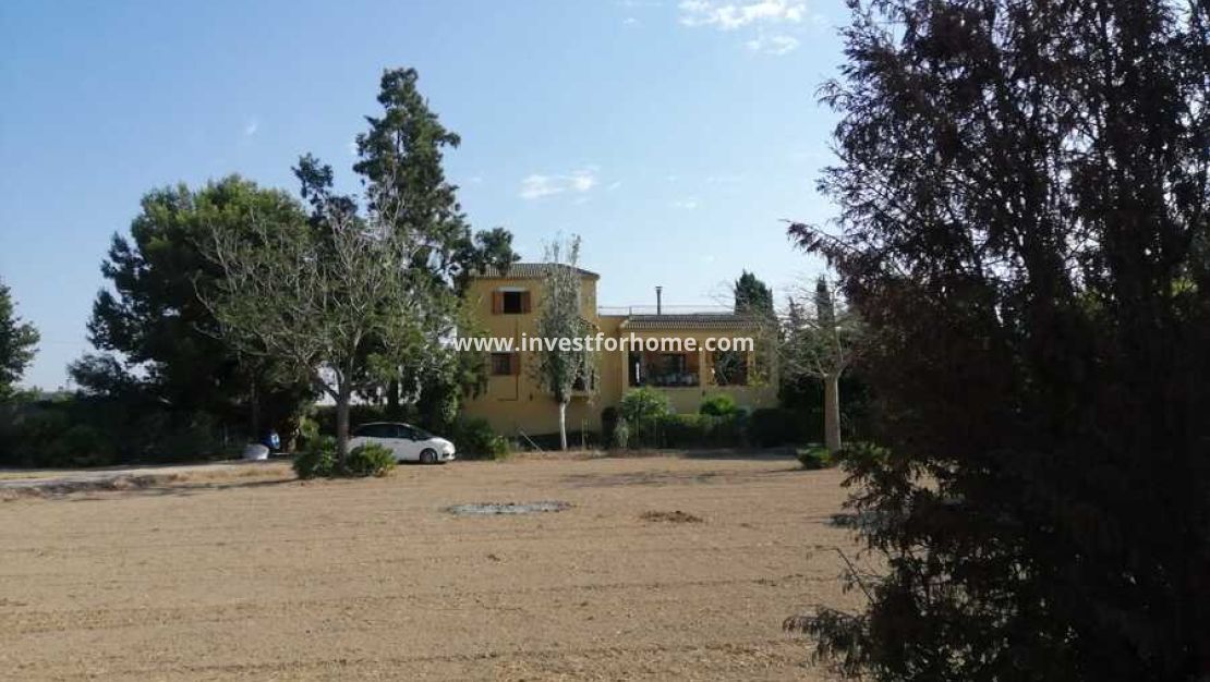 Vente - Villa - Daya Nueva - Costa Blanca