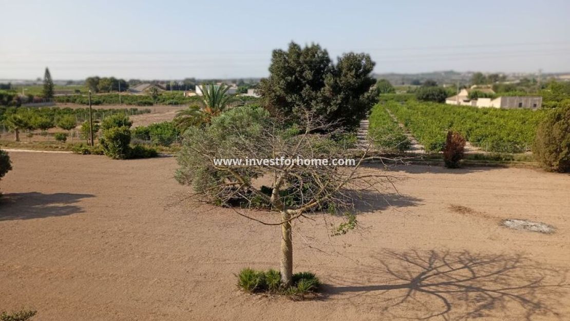 Vente - Villa - Daya Nueva - Costa Blanca