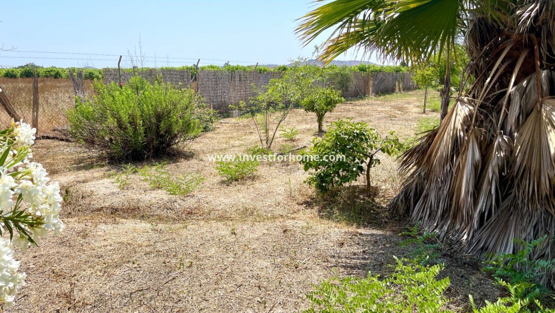 Vente - Villa - Daya Nueva - Costa Blanca