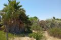Vente - Villa - Daya Nueva - Costa Blanca