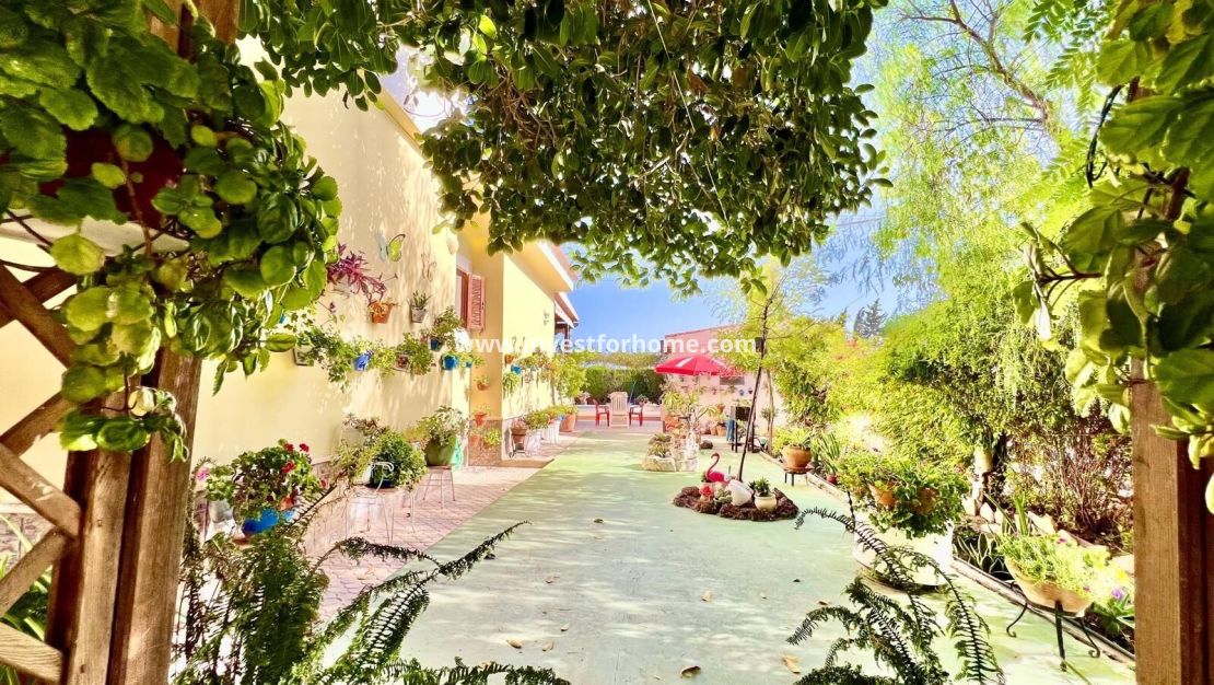 Vente - Villa - Daya vieja - Costa Blanca Sur