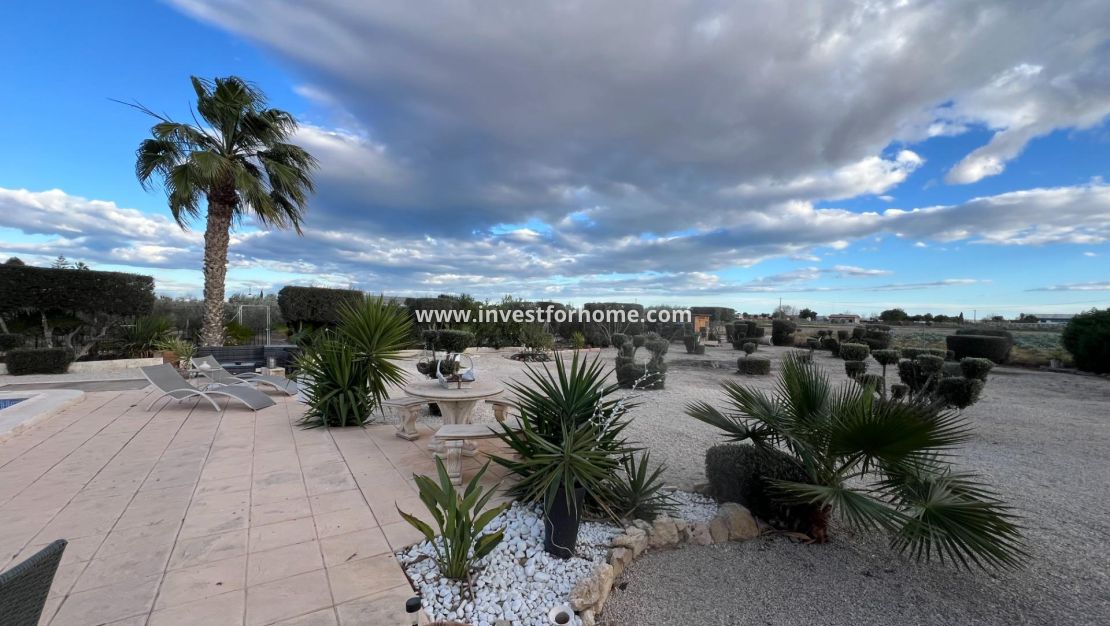 Vente - Villa - Dolores - Comunidad Valenciana