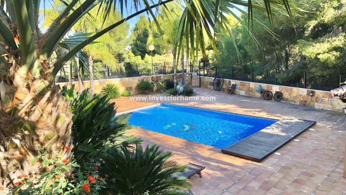 Vente - Villa - El Palmar