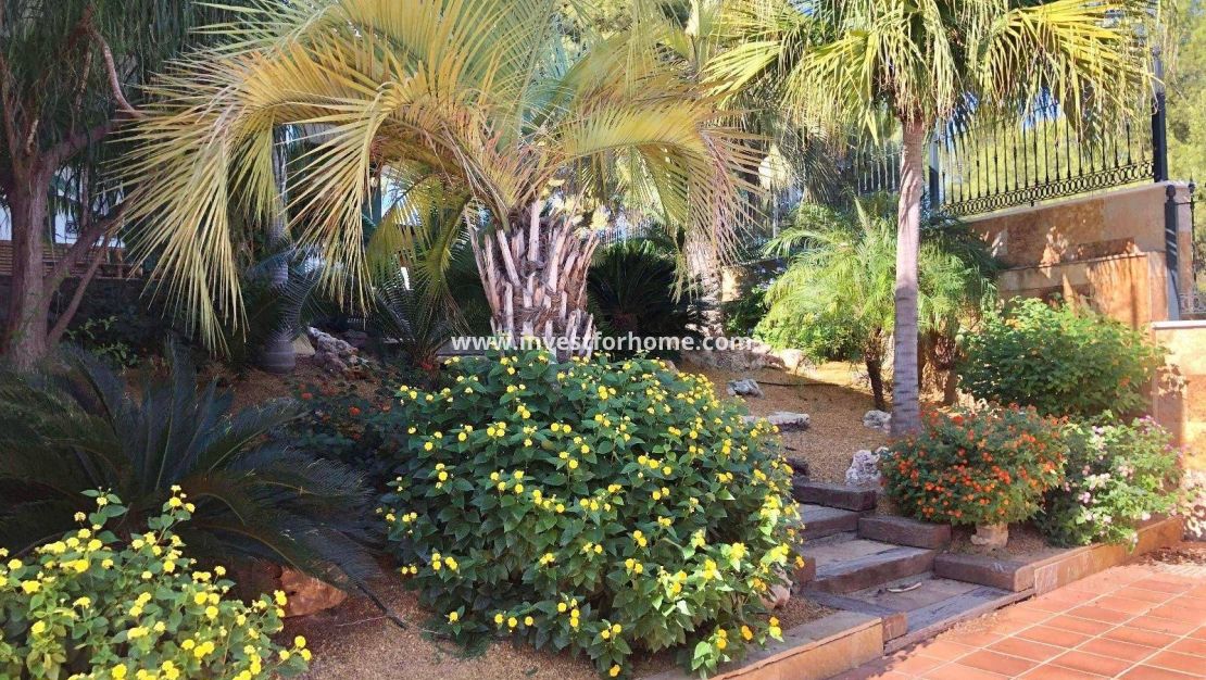 Vente - Villa - El Palmar