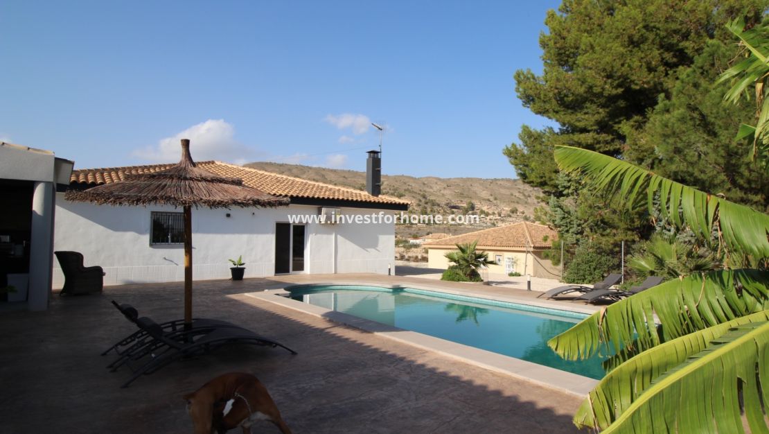 Vente - Villa - Fortuna - Inland