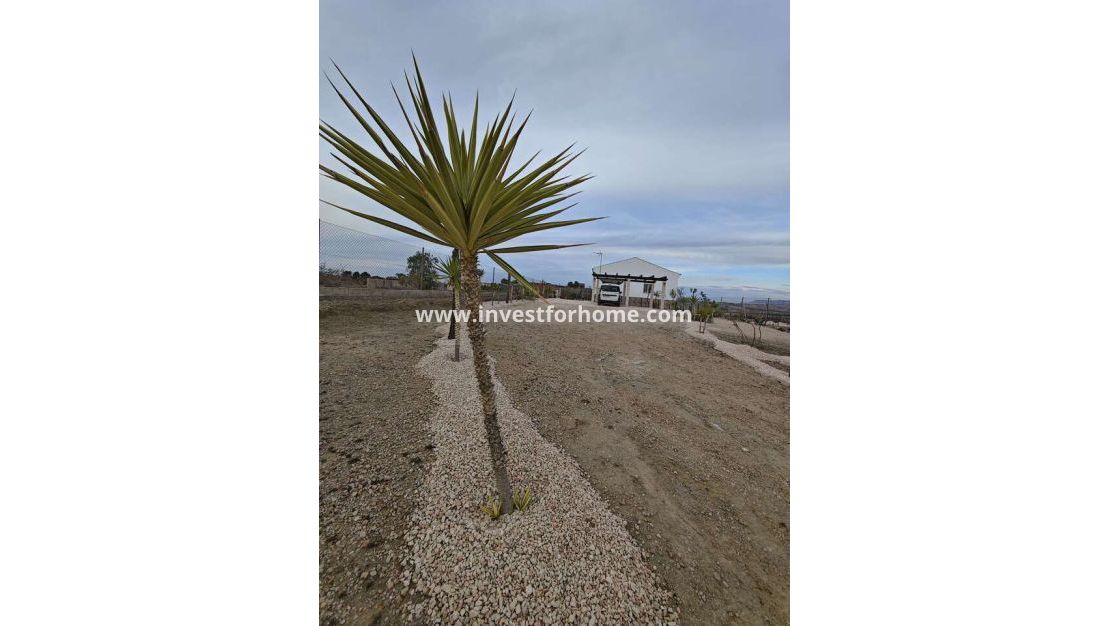 Vente - Villa - Fortuna - Inland