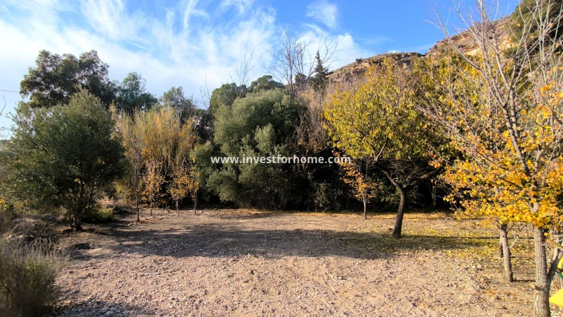 Vente - Villa - Fortuna - Inland