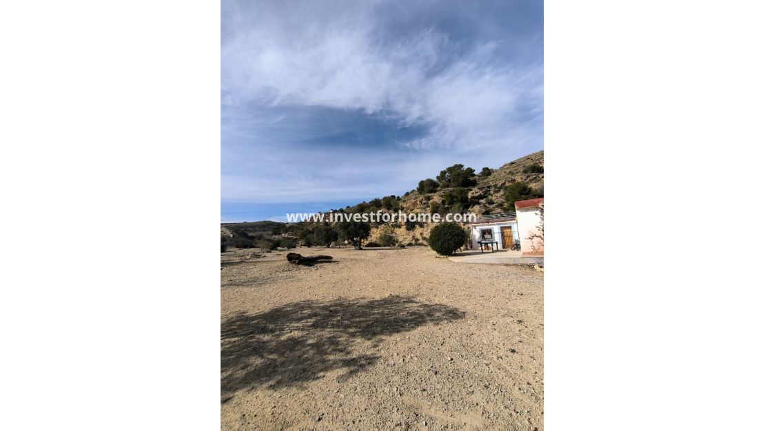 Vente - Villa - Fortuna - Inland