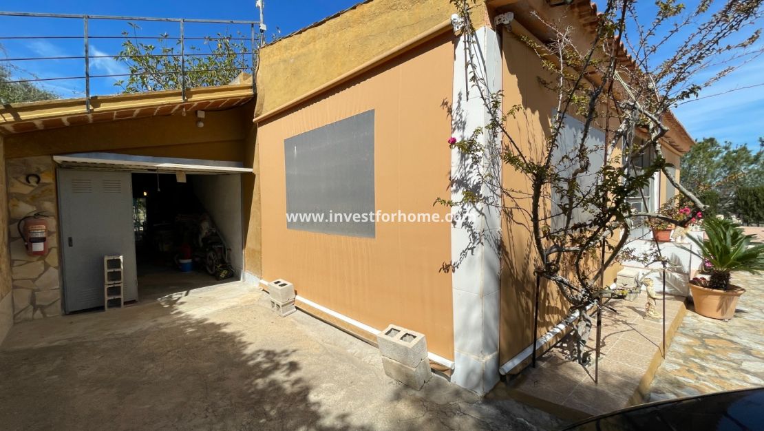 Vente - Villa - Guardamar del Segura - Costa Blanca