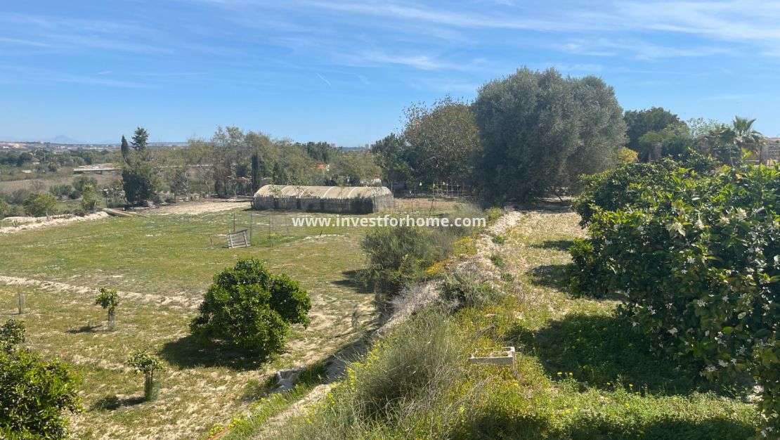 Vente - Villa - Guardamar del Segura - Costa Blanca