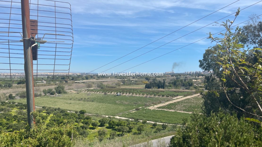 Vente - Villa - Guardamar del Segura - Costa Blanca