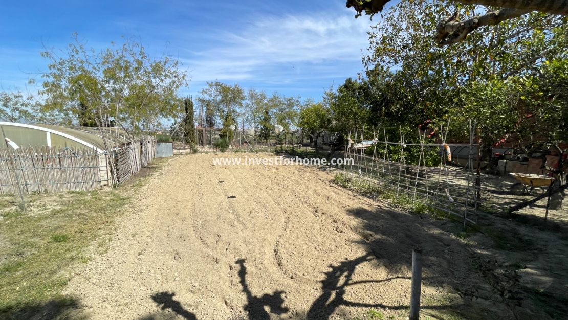 Vente - Villa - Guardamar del Segura - Costa Blanca