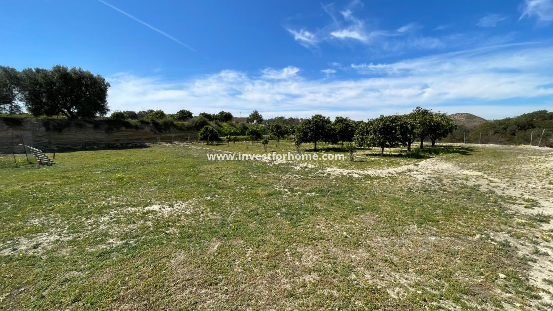Vente - Villa - Guardamar del Segura - Costa Blanca