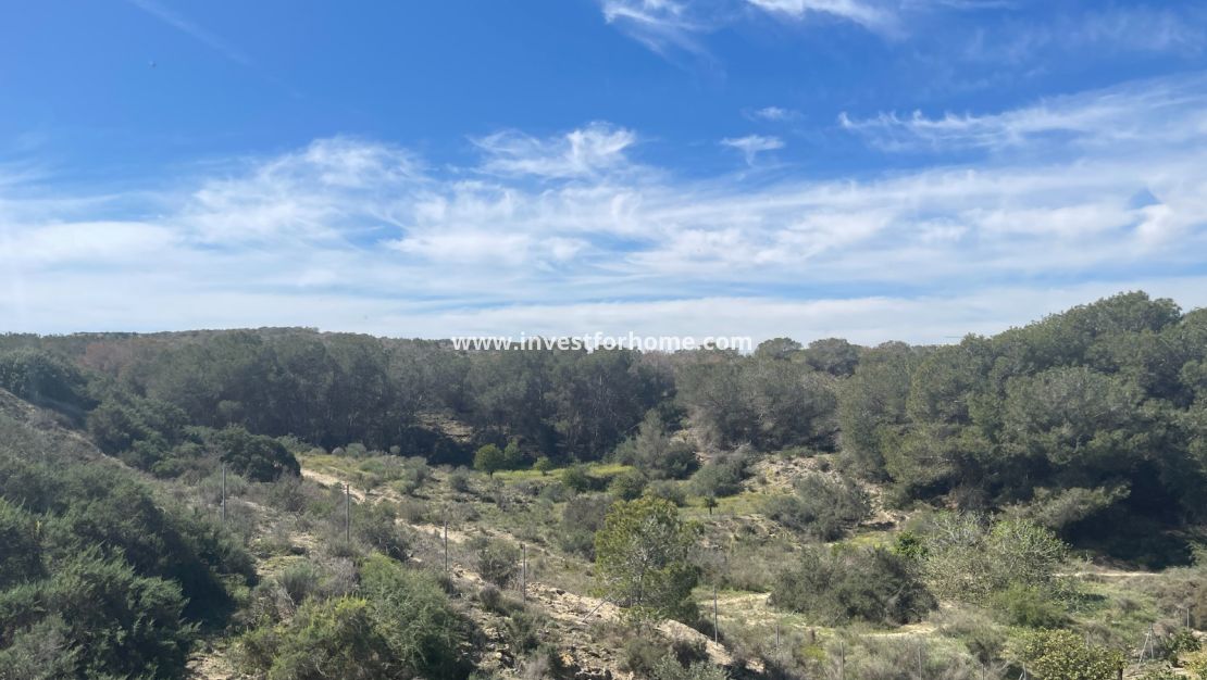 Vente - Villa - Guardamar del Segura - Costa Blanca