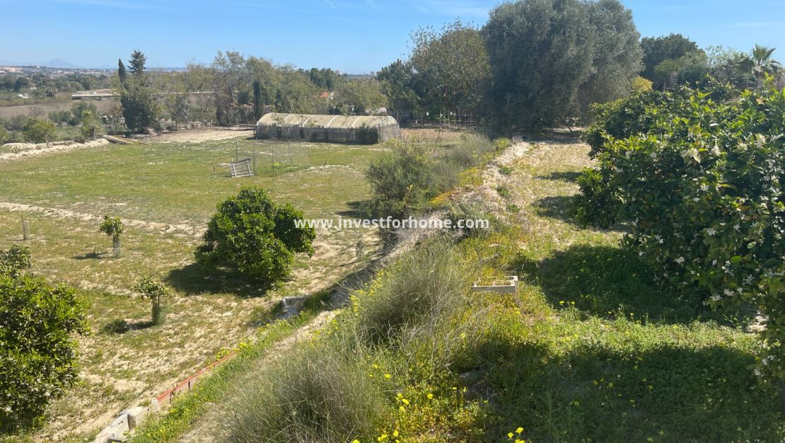 Vente - Villa - Guardamar del Segura - Costa Blanca