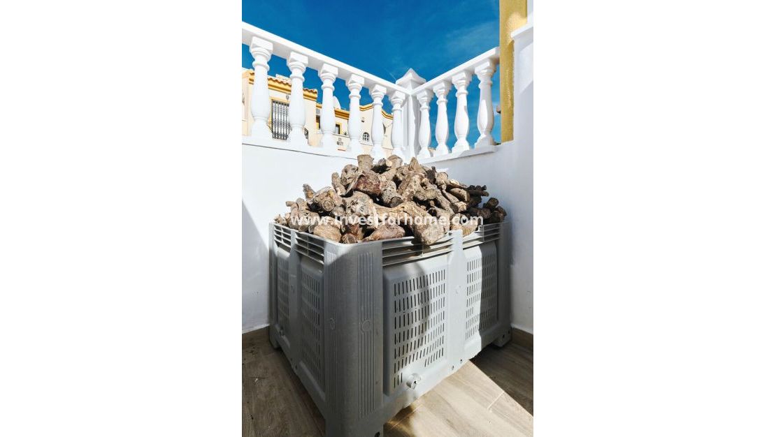 Vente - Villa - Guardamar del Segura - El Raso