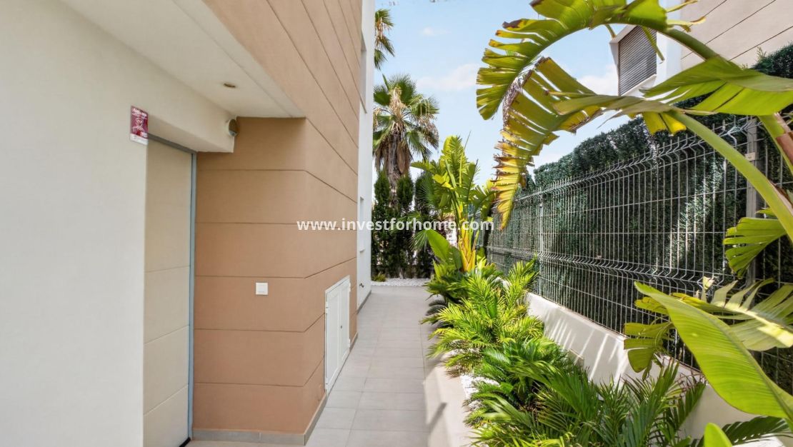 Vente - Villa - Guardamar del Segura - El Raso