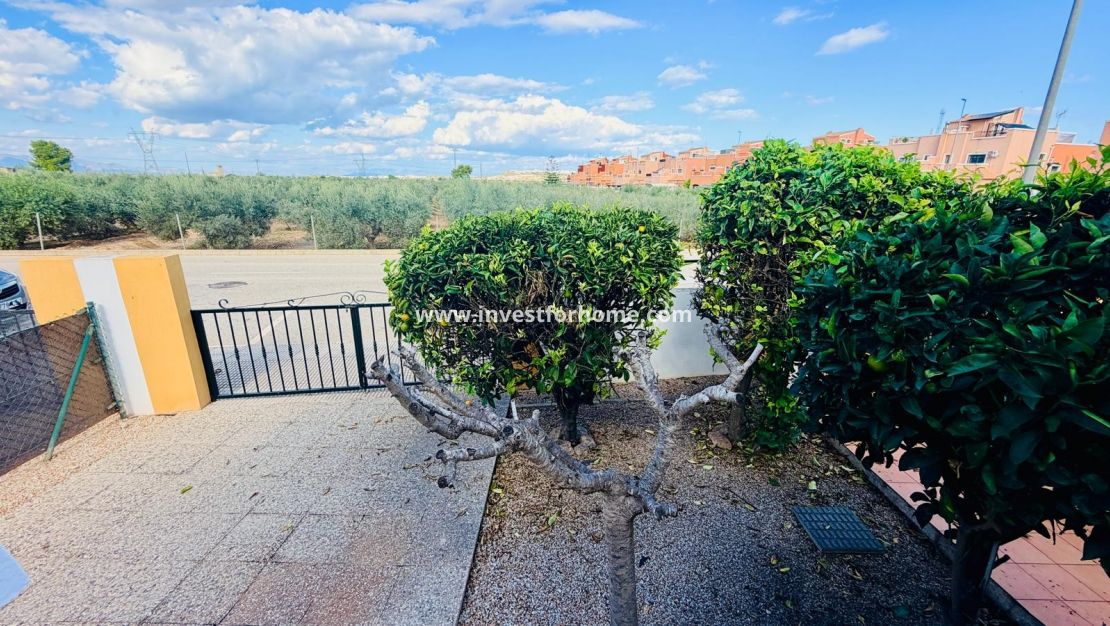Vente - Villa - Los Montesinos - La Herrada