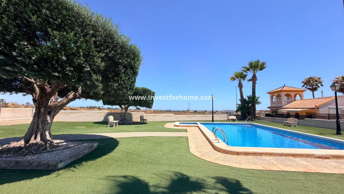 Vente - Villa - Los Montesinos - Urbanizacion montesol