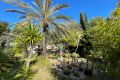 Vente - Villa - Orihuela Costa - Costa Blanca