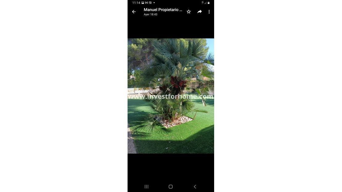 Vente - Villa - Orihuela Costa - Costa Blanca