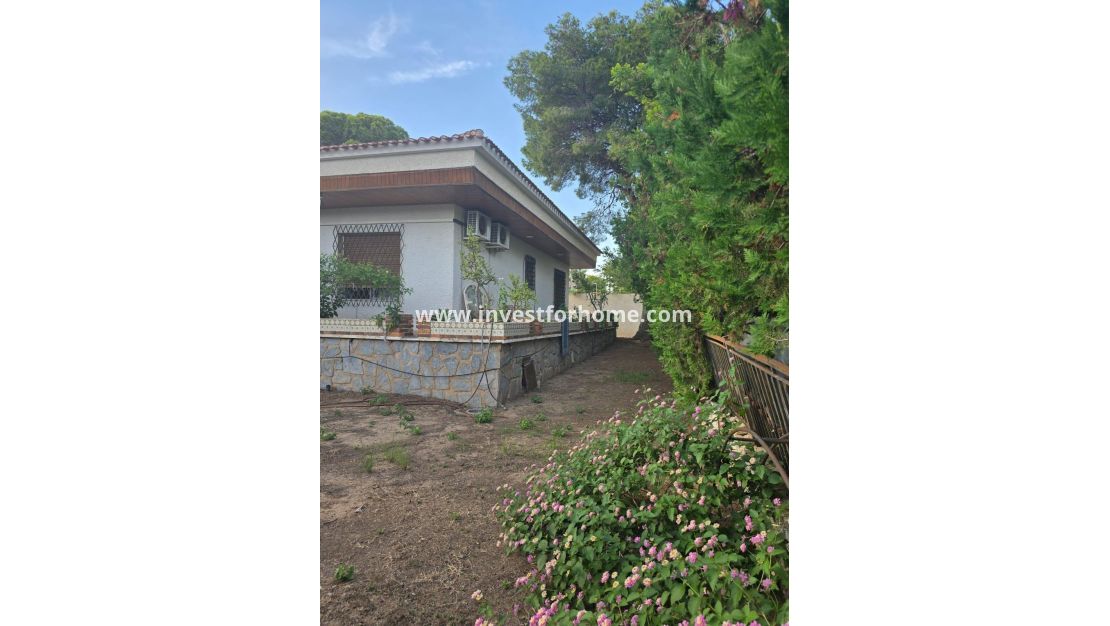 Vente - Villa - Orihuela Costa - Dehesa De Campoamor