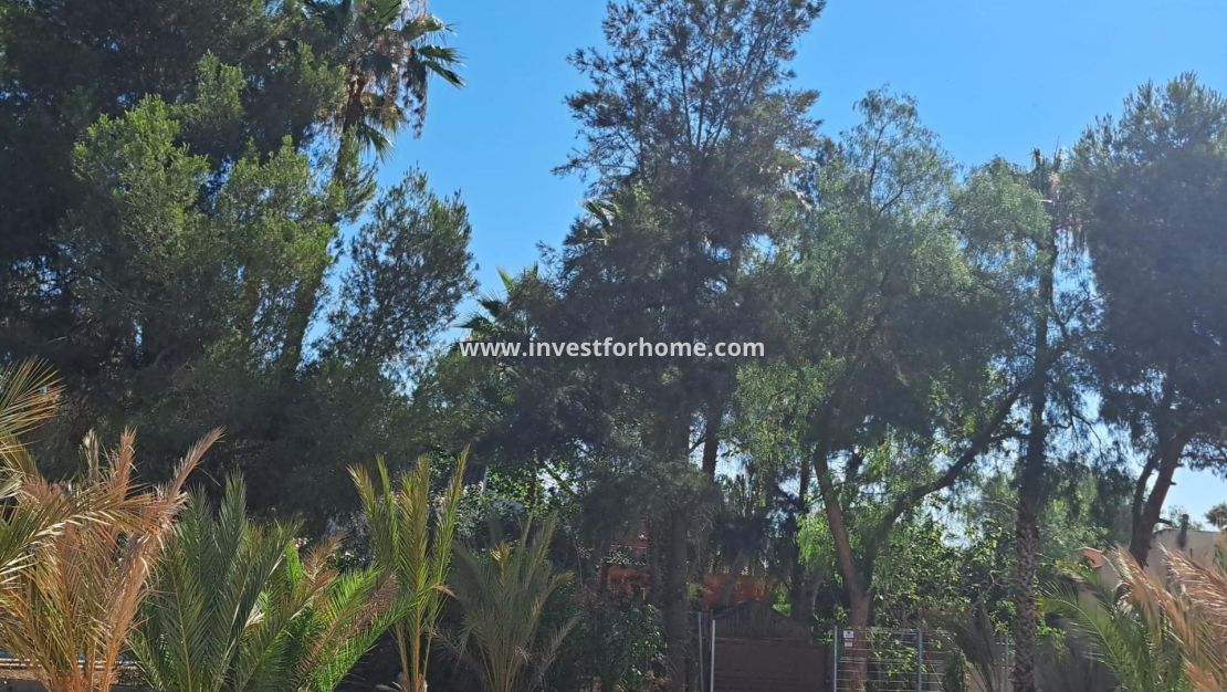 Vente - Villa - Orihuela Costa - Desamparados-hurchillo-torremendo