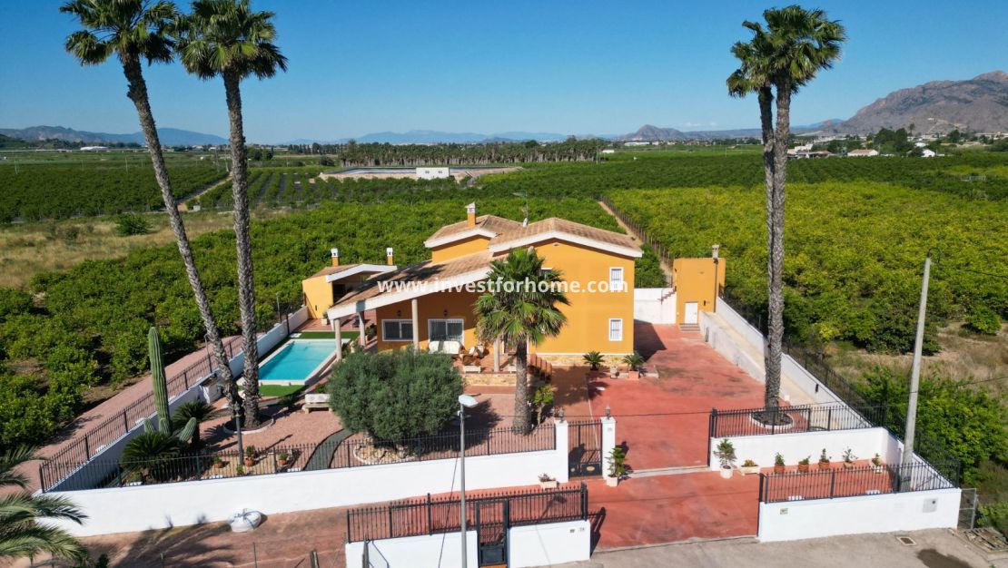 Vente - Villa - Orihuela Costa - Inland