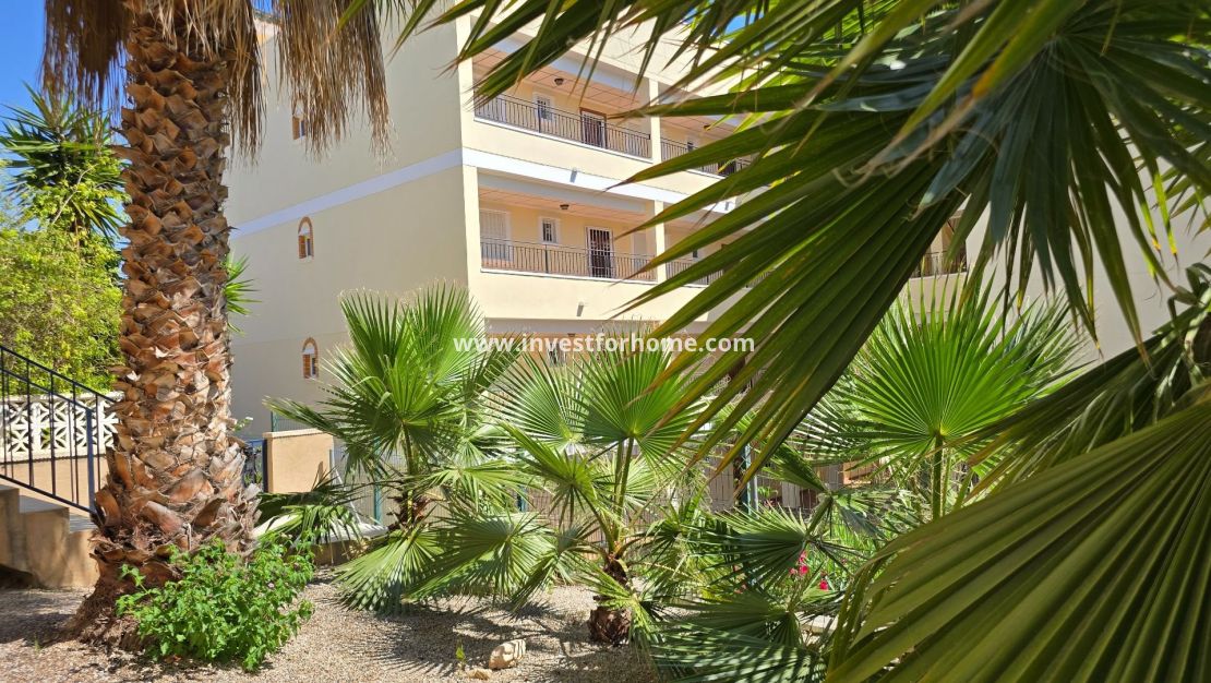 Vente - Villa - Orihuela Costa - Inland