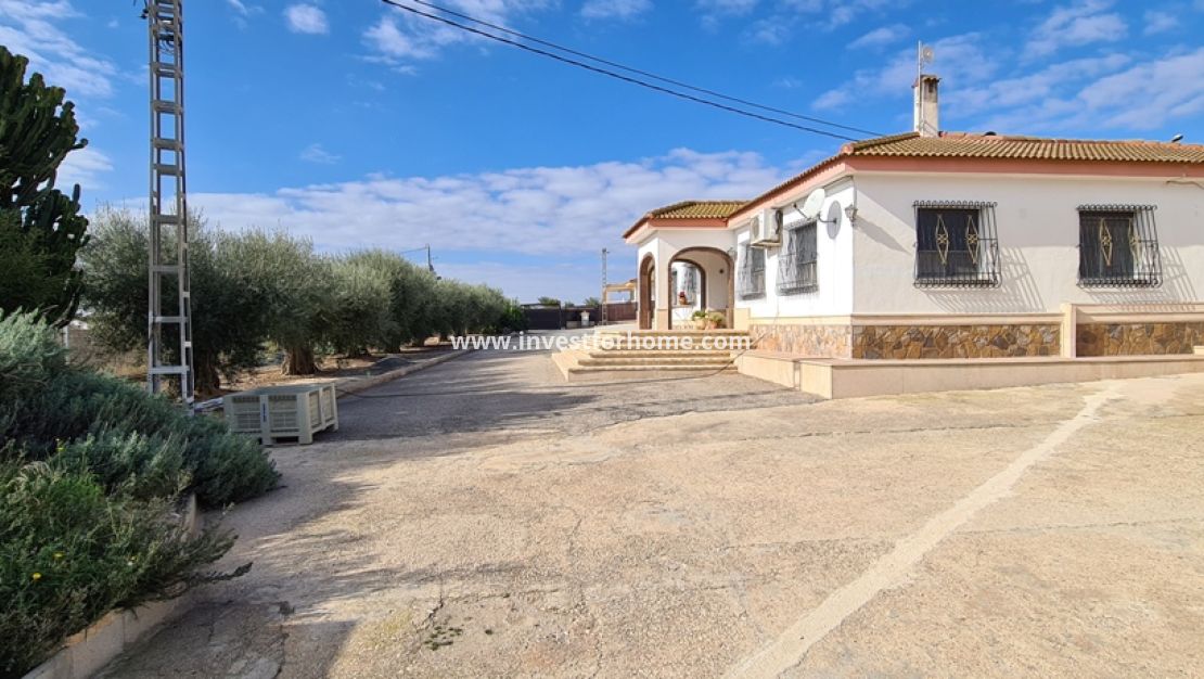 Vente - Villa - Orihuela Costa - Inland