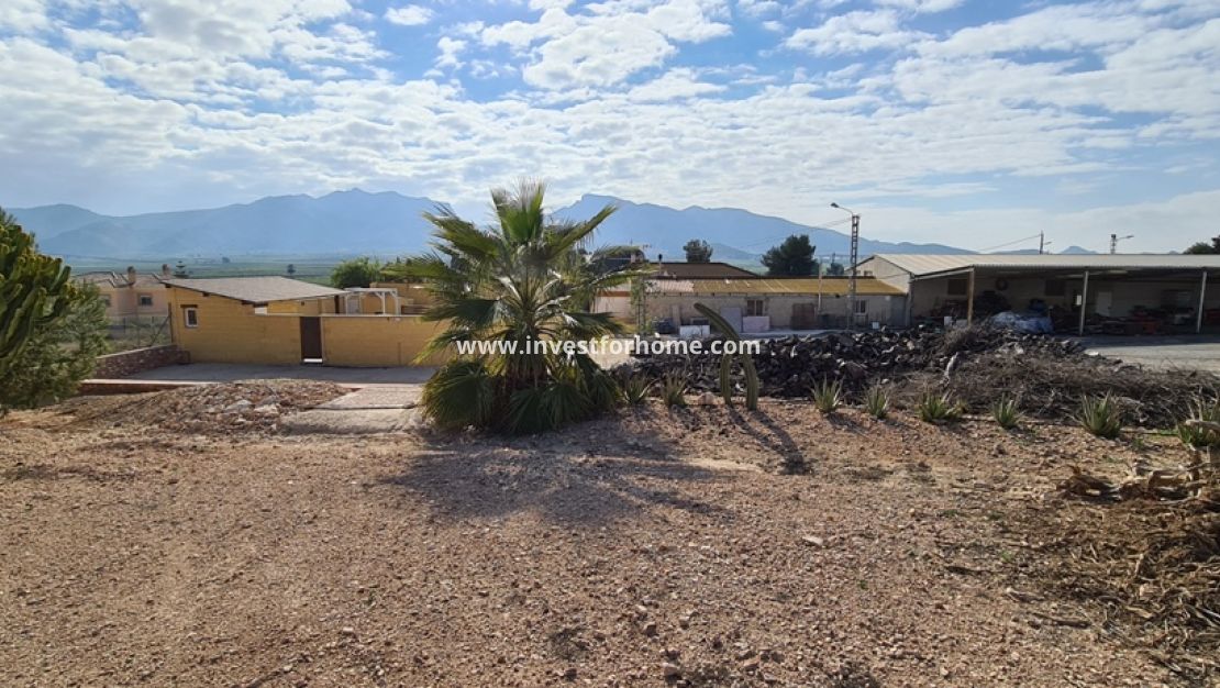 Vente - Villa - Orihuela Costa - Inland