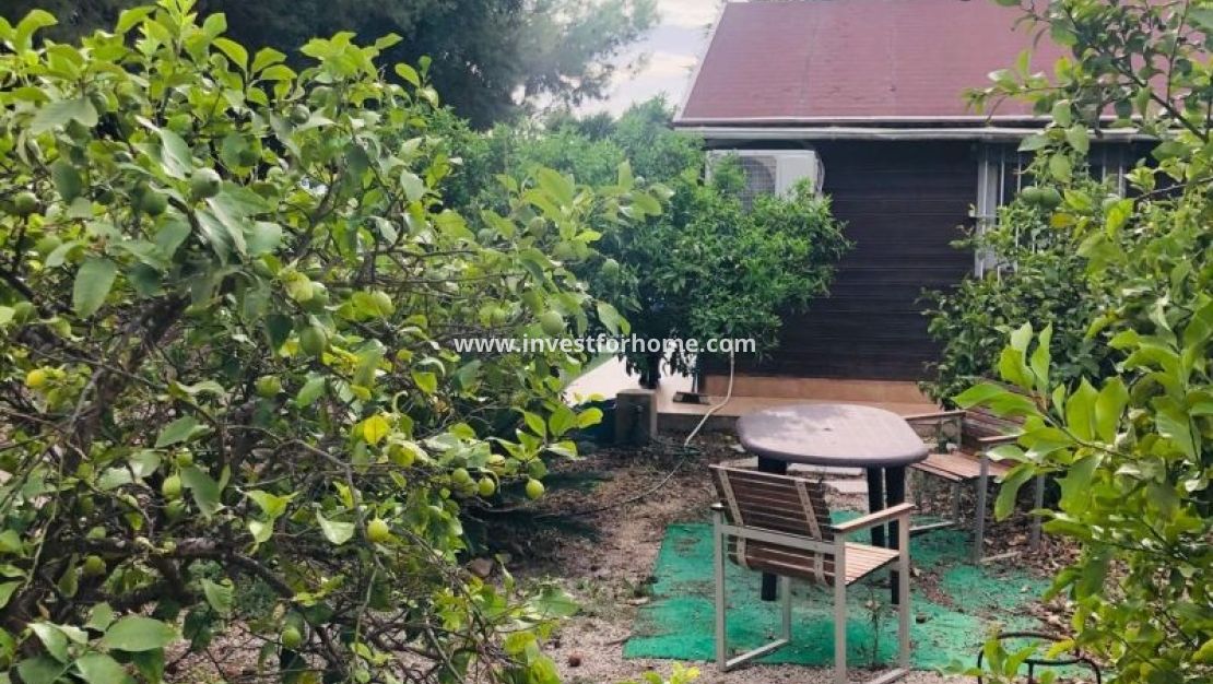 Vente - Villa - Orihuela Costa - Inland