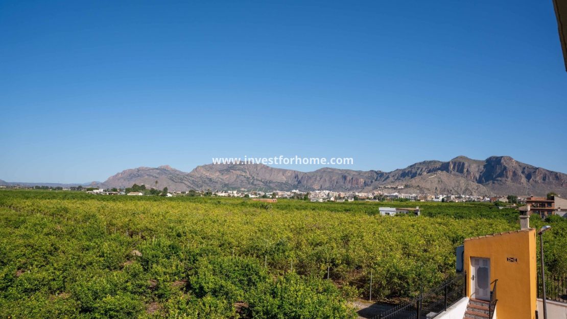 Vente - Villa - Orihuela Costa - Inland