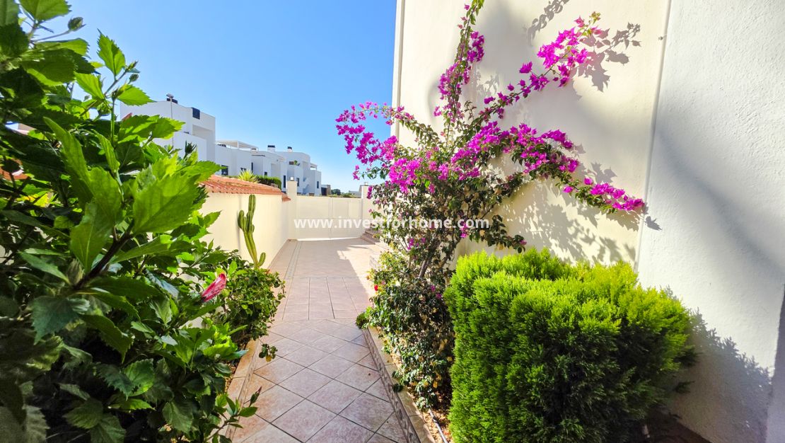 Vente - Villa - Orihuela Costa - Inland