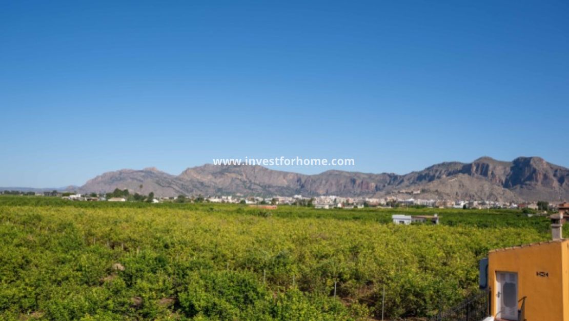 Vente - Villa - Orihuela Costa - Inland